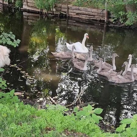 Zimmer Am Hegensteinbach Ravensbruck المظهر الخارجي الصورة